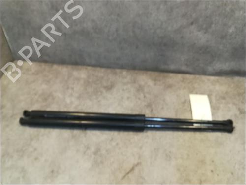 Used Tailgate lift support Tailgate lift support RENAULT GRAND SCÉNIC III (JZ0/1_) 1.9 dCi (JZ0J, JZ0N, JZ1K, JZ1S) (131 hp) 14879960 14879960