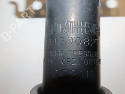 Right front shock absorber RENAULT MEGANE III Hatchback (BZ0/1_, B3_) 1.5 dCi | BP29441660M17 