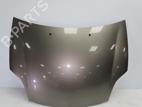 Used Hood Hood FIAT BRAVO II (198_) 1.6 D Multijet (198AXH1B) (105 hp) 36494823 36494823