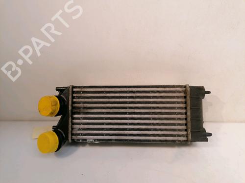 Andre PEUGEOT 5008 (0U_, 0E_) 1.6 HDi (114 hp) 15841728