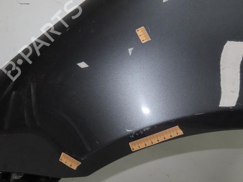 Left front fenders VW SHARAN (7M8, 7M9, 7M6) 2.0 TDI | BP28830948C41 