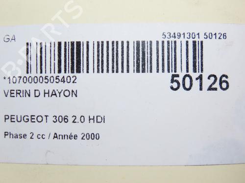 Tailgate lift support PEUGEOT 306 Hatchback (7A, 7C, N3, N5) 2.0 HDI 90 | BP28832265C138 