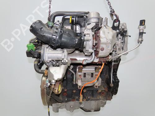 Engine RENAULT SCÉNIC III (JZ0/1_) 1.6 dCi (JZ00, JZ12) | BP38004767M1 - Image 6