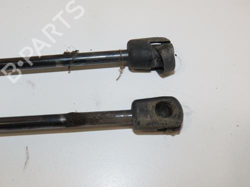 Tailgate lift support FIAT FIORINO MPV (225_) 1.3 JTD Multijet | BP29441815C138 