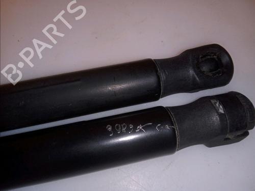 Tailgate lift support RENAULT MEGANE III Coupe (DZ0/1_) 1.4 TCe (DZ0F, DZ1V) | BP14879899C138 