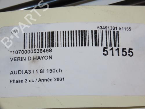 Tailgate lift support AUDI A3 (8L1) 1.8 T | BP18342688C138 