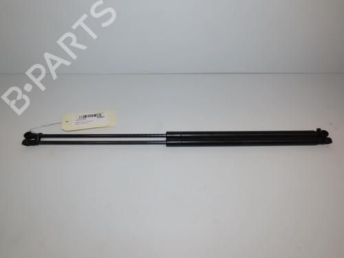 Used Tailgate lift support NISSAN JUKE (F15) 1.5 dCi (110 hp) 18953715