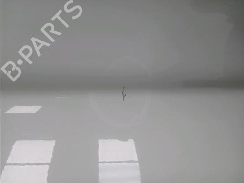 Left front door HYUNDAI i20 I (PB, PBT) 1.2 | BP18646102C2 