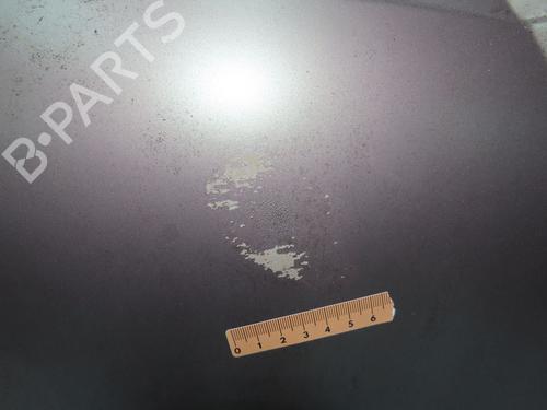 Used Hood RENAULT MEGANE Scenic (JA0/1_) 1.6 16V (JA0B, JA04, JA11, JA00) (107 hp) 28831020