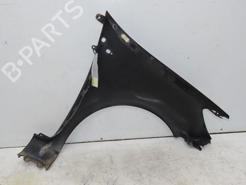 Left front fenders RENAULT CLIO III (BR0/1, CR0/1) 1.5 dCi | BP29196003C41 