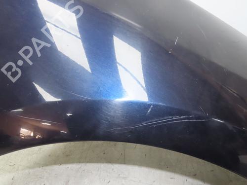 Aile avant droite RENAULT LAGUNA Coupe (DT0/1) 2.0 dCi GT (DT11, DT1E, DT1N) (178 hp) 31120617