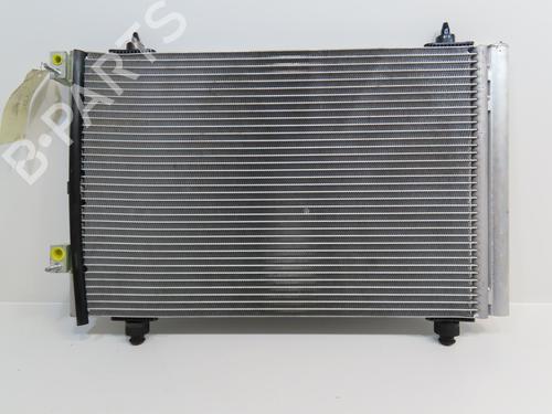 Heater matrix PEUGEOT 307 (3A/C) 1.6 HDi | BP30117091M63 