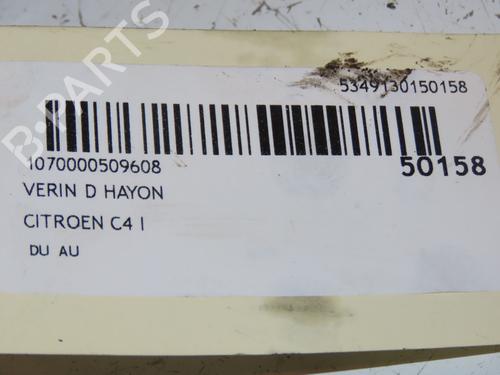 Tailgate lift support CITROËN C4 Picasso I MPV (UD_) 2.0 HDi 150 | BP17037552C138 