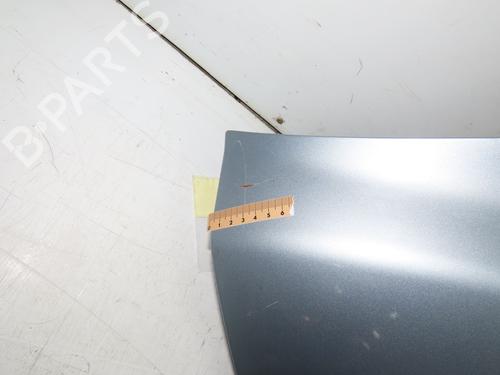 Left front fenders NISSAN MICRA III (K12) 1.2 16V | BP23098719C41 