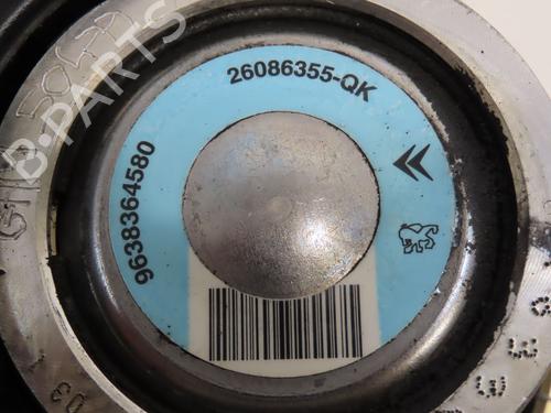 Steering pump PEUGEOT 206 SW (2E/K) 2.0 HDi | BP24361036M99 - Image 5