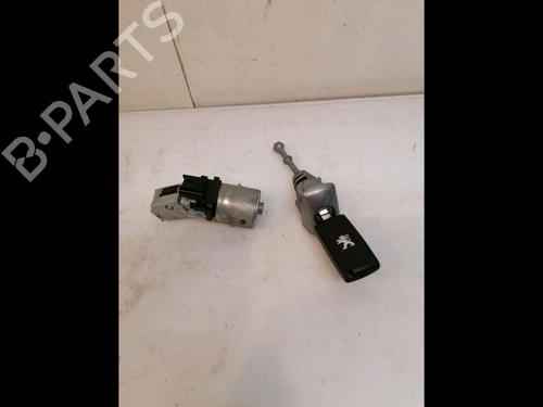 Used Electronic module Electronic module PEUGEOT RCZ 2.0 HDi (163 hp) 16781311 16781311