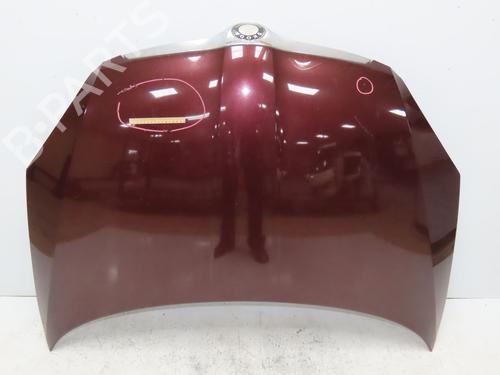 Hood SKODA FABIA II (542) 1.4 TDI | BP28831012C1 