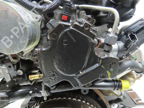 Engine RENAULT SCÉNIC III (JZ0/1_) 1.6 dCi (JZ00, JZ12) | BP36657558M1 - Image 5