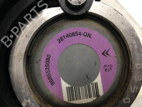 steering-pump-peugeot-206-2l_-2m_-11-9800248380-2009-2010-2011-2012-2013-9594626 main image