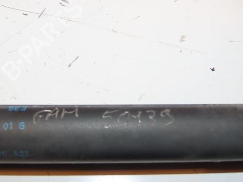 Tailgate lift support VW POLO V (6R1, 6C1) 1.2 | BP16740940C138 