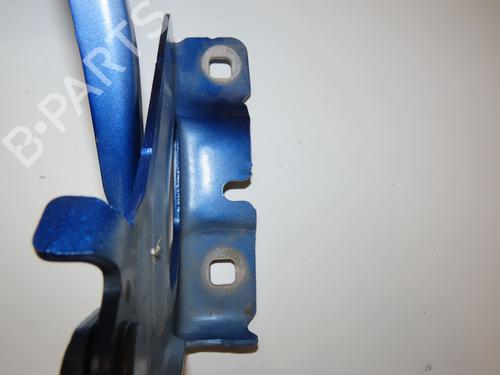 Hinge/Door check strap RENAULT CLIO V (B7_) 1.0 SCe 65 (B7MG) | BP29441749C146 