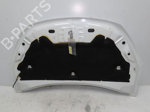 Hood DACIA LODGY (JS_) 1.2 TCe (JSAY, JSM0) | BP28831037C1 