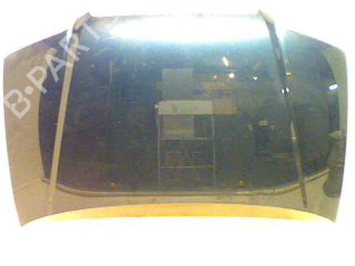 Cofano anteriore Cofano anteriore HYUNDAI TRAJET (FO) 2.0 CRDi (113 hp) 36494814 36494814