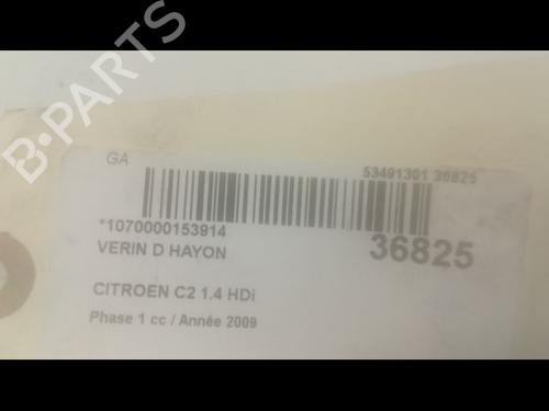 Tailgate lift support CITROËN C2 (JM_) 1.4 HDi | BP14879704C138 