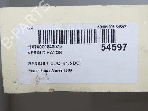 Used Tailgate lift support RENAULT CLIO III (BR0/1, CR0/1) 1.5 dCi (C/BR0G, C/BR1G) (68 hp) 32691201