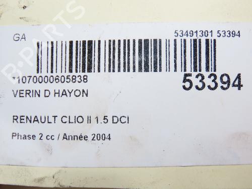 Gassdemper Bakluke RENAULT CLIO II (BB_, CB_) 1.5 dCi (B/CB08) | BP28969309C138 