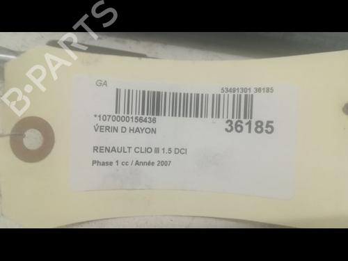 Used Tailgate lift support RENAULT CLIO III (BR0/1, CR0/1) 1.5 dCi (BR1C, CR1C) (103 hp) 23177355