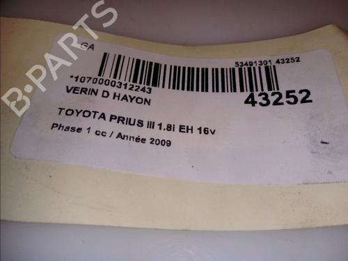 Used Tailgate lift support TOYOTA PRIUS (_W3_) 1.8 Hybrid (ZVW3_) (99 hp) 14880079