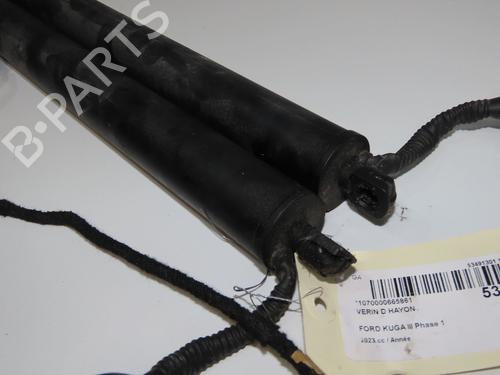 Used Tailgate lift support Tailgate lift support FORD KUGA III (DFK) 2.5 Hybrid Flex (190 hp) 33998896 33998896