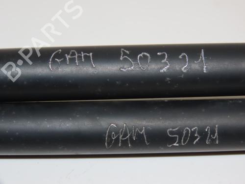 Tailgate lift support NISSAN QASHQAI / QASHQAI +2 I (J10, NJ10, JJ10E) 1.5 dCi | BP18913174C138 