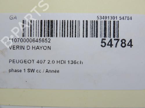 Tailgate lift support PEUGEOT 407 SW (6E_, 6D_) 2.0 HDi 135 | BP30630885C138 