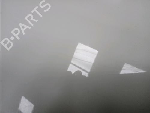 Tailgate MERCEDES-BENZ E-CLASS (W210) E 220 CDI (210.006) | BP14951887C6 