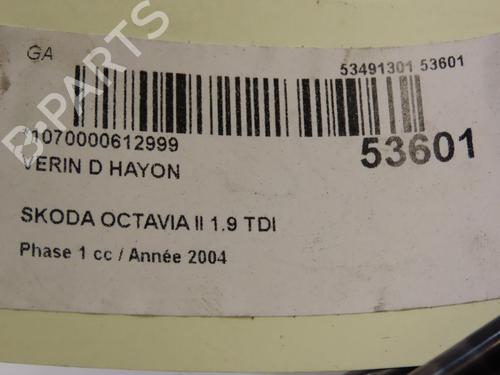 Used Tailgate lift support SKODA OCTAVIA II (1Z3) 1.9 TDI (105 hp) 28832299