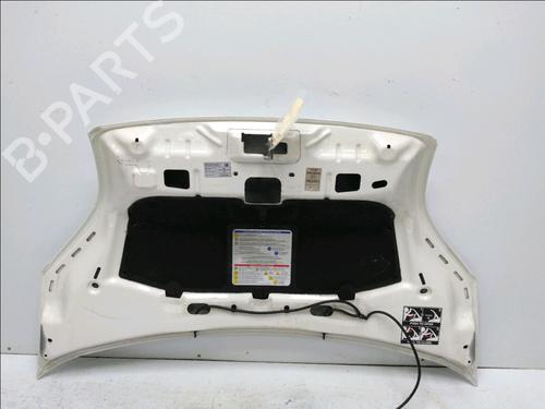 Hood CITROËN NEMO Box Body/MPV (AA_) 1.3 HDi 75 | BP19170736C1 