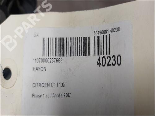 Tailgate CITROËN C1 (PM_, PN_) 1.0 | BP9608368C6 