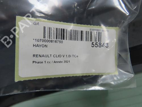 tailgate-renault-clio-v-b7_-2019-40241080 main image