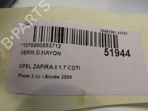 Tailgate lift support OPEL ZAFIRA / ZAFIRA FAMILY B (A05) 1.7 CDTI (M75) | BP19638980C138 