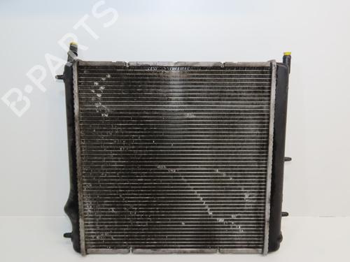 Køler PEUGEOT 207 (WA_, WC_) 1.4 | BP30893415M31