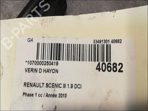 Used Tailgate lift support RENAULT GRAND SCÉNIC III (JZ0/1_) 1.9 dCi (JZ0J, JZ0N, JZ1K, JZ1S) (131 hp) 14879960