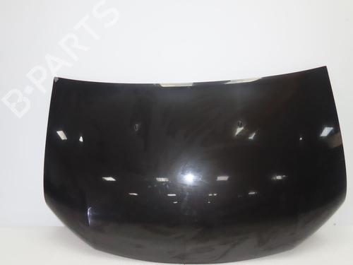 hood-dacia-sandero-ii-2012-32872939 main image