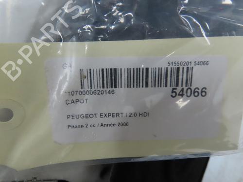 Hood PEUGEOT EXPERT Van (222) 2.0 HDI | BP28968391C1 