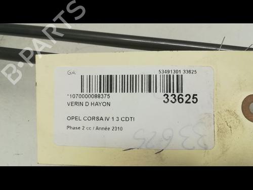 Used Tailgate lift support OPEL CORSA D (S07) 1.3 CDTI (L08, L68) (75 hp) 14879589