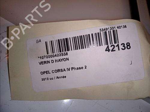 Used Tailgate lift support OPEL CORSA D (S07) 1.3 CDTI (L08, L68) (75 hp) 14880031