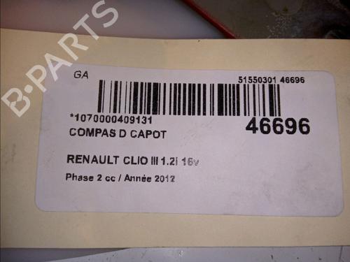Used Hinge/Door check strap RENAULT CLIO III (BR0/1, CR0/1) 1.2 16V (BR02, BR0J, BR11, CR02, CR0J, CR11) (75 hp) 14878999