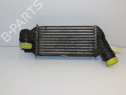 Used Intercooler Intercooler PEUGEOT 5008 (0U_, 0E_) 2.0 HDi 150 / BlueHDi 150 (150 hp) 28966844 28966844