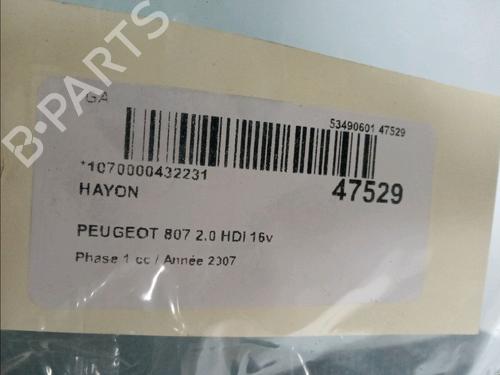 Tailgate PEUGEOT 807 (EB_) 2.0 HDI | BP15100089C6